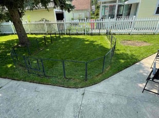 Brandon S.'s Lawn Care service result