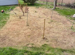 Weeding by Andrew Paul for Vijay V. in Cromwell, CT