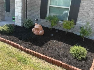 Ariel G.'s Mulching service result