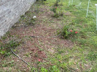 Landscaping by Paul Tollefson for Karm J. in Tallahassee, FL