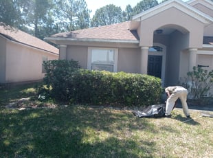 Bush Trimming by Brady Edmonds for Senh P. in Jacksonville, FL