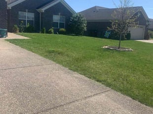 Robert R.'s Yard Cutting service result