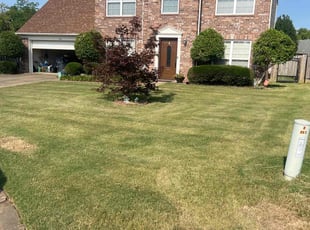 Jolene S.'s Grass Cutting service result