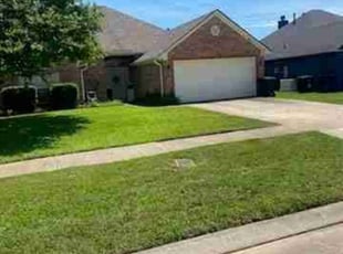 Hollie C.'s Yard Cutting service result