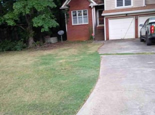 Sheila T.'s Bush Trimming service result
