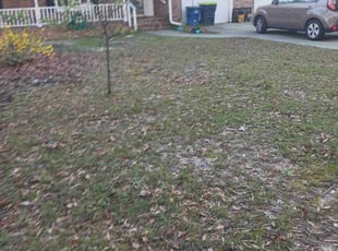 Leaf Removal by Ryan Landrigan for Tamara M. in Columbia, SC