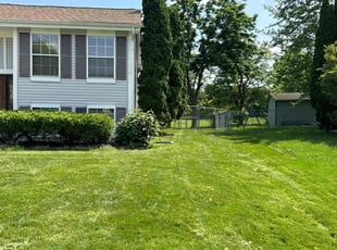 Shelly H.'s Lawn Mowing service result