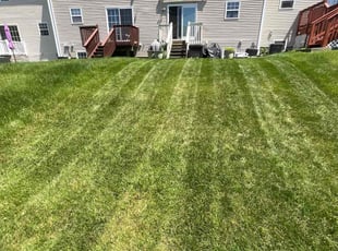 Quintara J.'s Lawn Maintenance service result