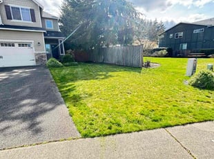 Randy V.'s Lawn Care service result