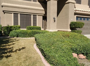 Bush Trimming by Lamont Johnson for Max M. in Henderson, NV