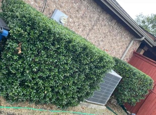 Bush Trimming by Giovanni Flores for Phil J. in Lavon, TX