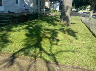 Mary, S.'s Lawn Mowing Service service result