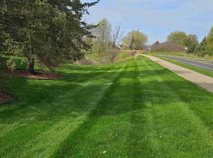 Darren F.'s Lawn Care service result