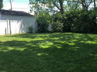 Scott T.'s Lawn Service service result