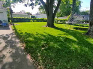 norvell C.'s Lawn Service service result