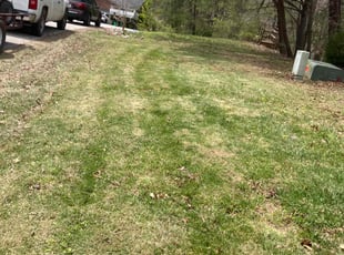 Leaf Removal by Mackenzie Allen for Mandy w. in Borden, IN