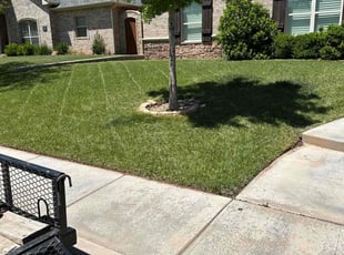 Ann B.'s Lawn Care service result