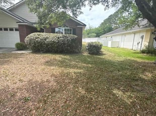 Bush Trimming by Jayson Penn for Alvin T. in Orange Park, FL