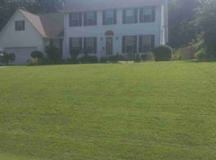 Anthony L.'s Lawn Service service result