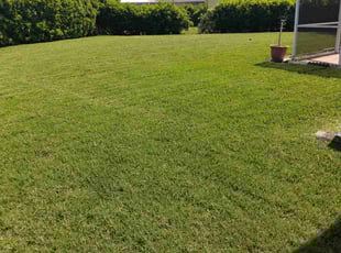 Charles b.'s Lawn Care service result