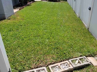 Roderick H.'s Lawn Maintenance service result