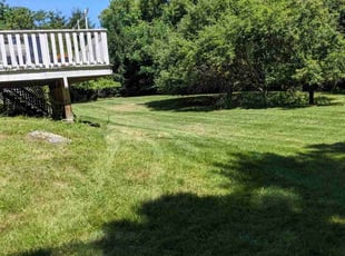 Phyllis F.'s Lawn Service service result