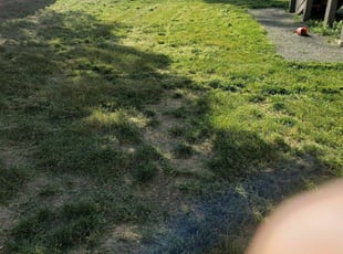 Cleanups by Mario Gonzales for Jeff F. in Broomfield, CO