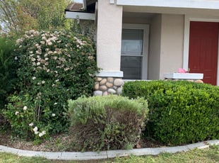 Bush Trimming by Jonathan Allen for ozzy v. in Sacramento, CA