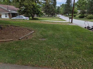 Leaf Removal by Dameatric Taylor for Maurice A. in Asheville, NC