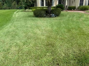 Mandy H.'s Lawn Care service result