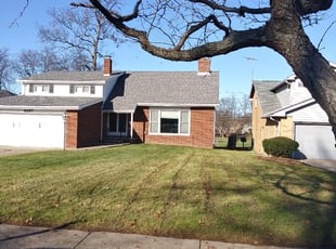 Leaf Removal by Darnell Stribling for Andrew B. in University Heights, OH