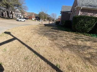 Cleanups by José Peraza for Melisa H. in McKinney, TX