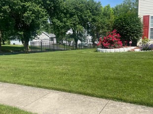 Derrell H.'s Lawn Maintenance service result