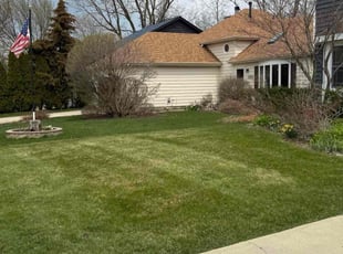 LYNN L.'s Lawn Care service result