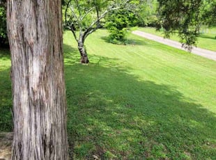 Sandra R.'s Lawn Service service result