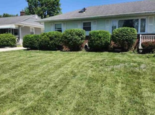 Bush Trimming by Dylan Hannah for Susan M. in Grove City, OH