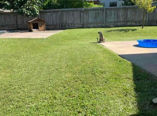 Rachel H.'s Lawn Mowing service result