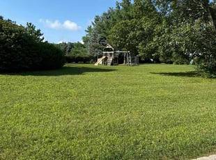 Mary G.'s Lawn Mowing service result