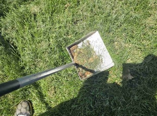 Cleanups by Kyle Yelton for Kimberly G. in Indianapolis, IN