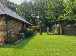 Cleanups by Macey Wheeler for Jennifer B. in Mesquite, TX