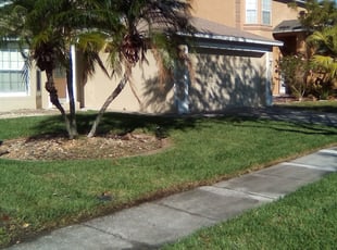 Raj D.'s Lawn Mowing service result