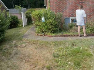 Bush Trimming by Lee Ann Ciuca for Laurie B. in Freeport, PA