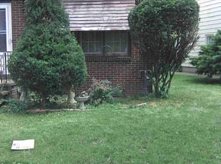 Bush Trimming by Shawn Crase for Kate M. in Lorain, OH