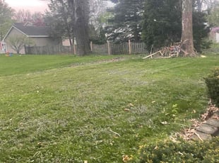 Ligaya A.'s Lawn Care service result