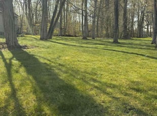 Carol C.'s Lawn Maintenance service result