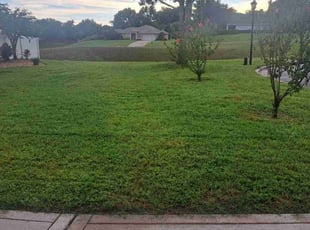 Edwin M.'s Lawn Care service result