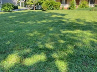 Jack P.'s Lawn Care service result