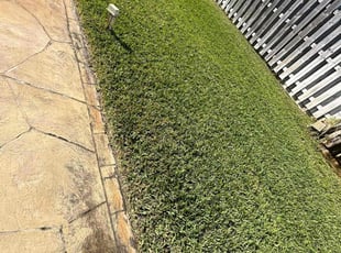 Emily L.'s Yard Cutting service result