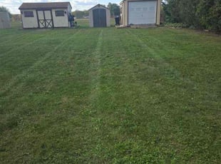 Donavan M.'s Lawn Maintenance service result