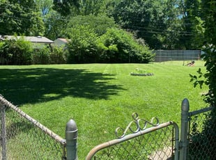 Lucky R.'s Lawn Service service result